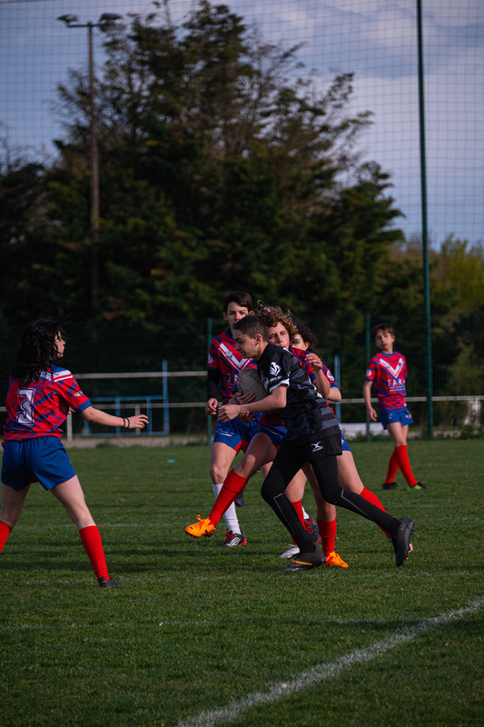 tournoi-de-latlantique-2026-adonis-griffon-255-55181245741-l