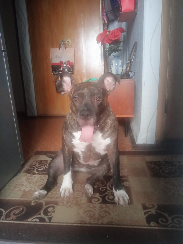 2D7344D8-FFDA-497C-8719-03B548492645