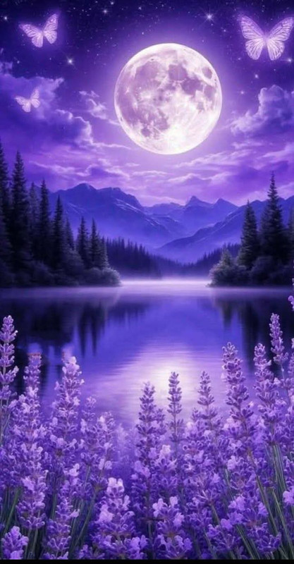 FB-IMG-1761707012735