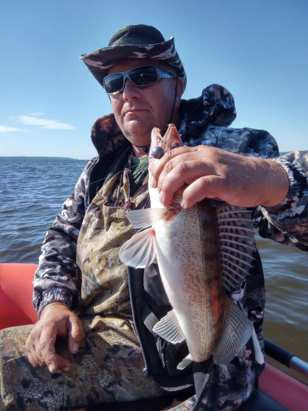 алексей галкин рыбинское водохранилище. паром судак. щука. князь багратион корабль судак. рыба щука сом.