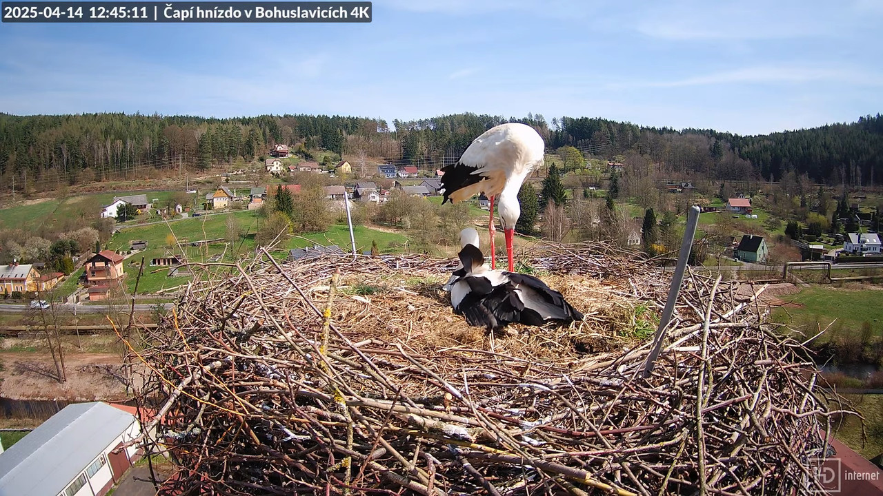 Živě z čapího komína firmy KARA v Bohuslavicích u Trutnova 15-52-25 screenshot