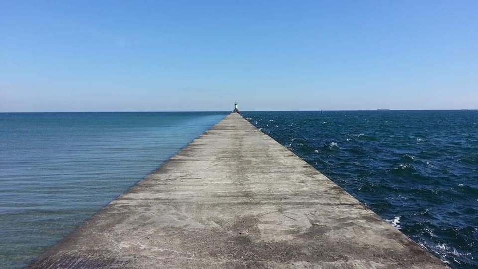 55865165-2320229021350029-5650973984146063360-n