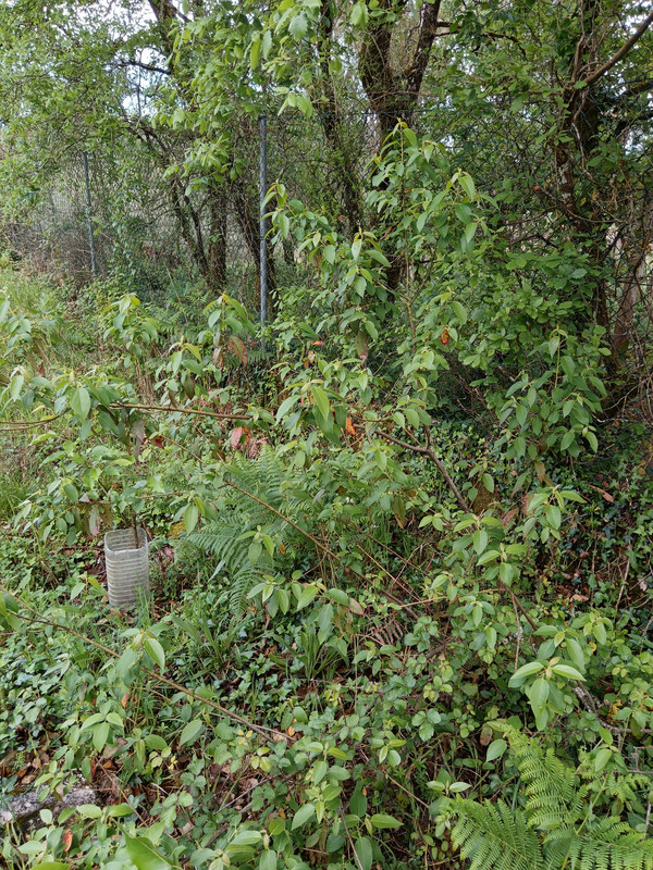 IMG 20260414 165930