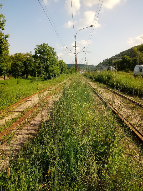 Slika