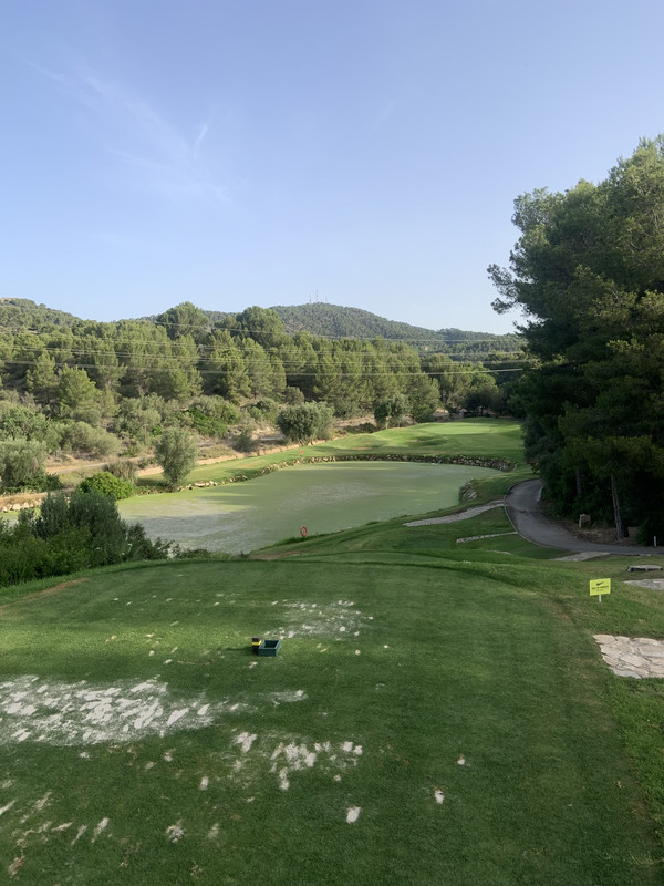 D7821B89-A3EA-4AF0-AA34-56C5AED2FC8F