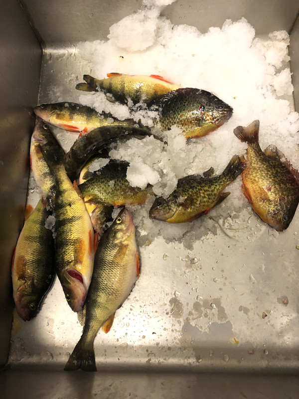 C15248A6-B99A-418B-A159-06CB58DE3662