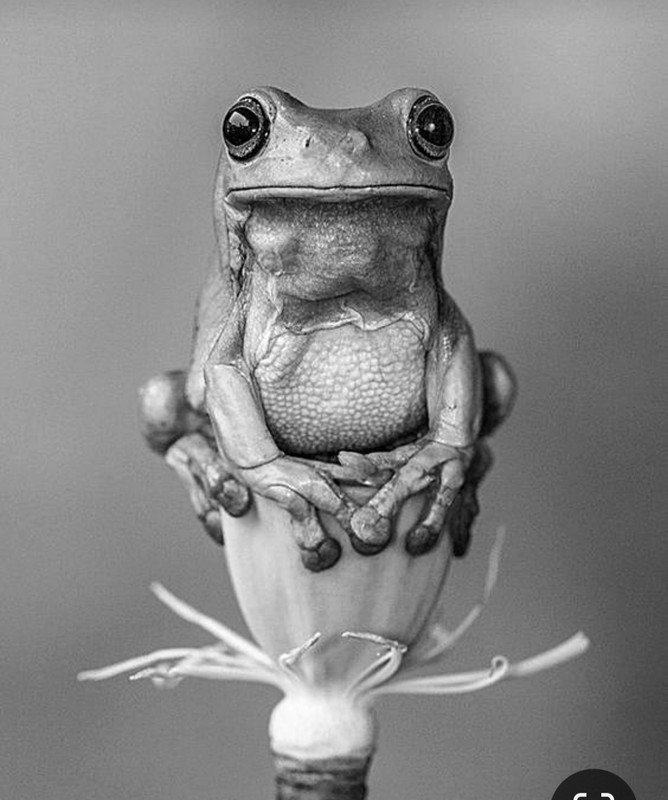 Screenshot_20231209_122803_Pinterest