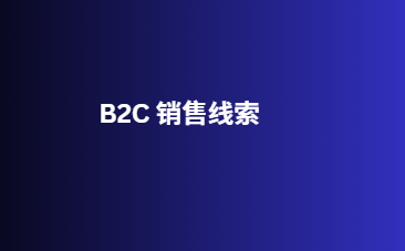 B2C 销售线索