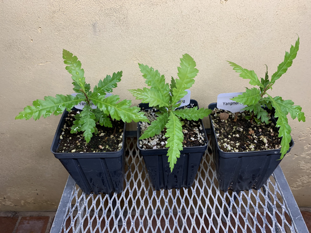 6B5DB598-2D18-4E5F-B8D1-A7734114B177