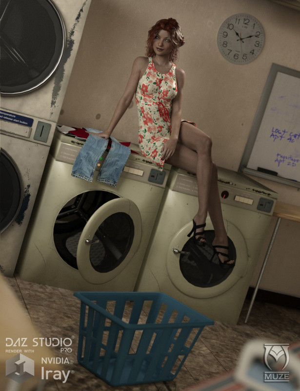 00 main basement laundry daz3d