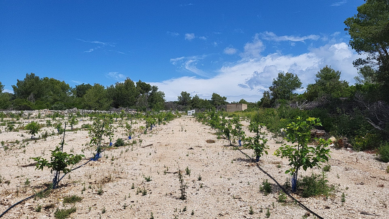 IMG-20230606-WA0009 (1)