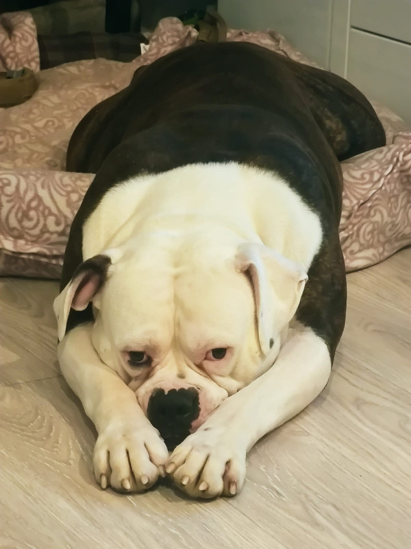 4C578864-0C6C-4CB8-9206-BA42429F7B73