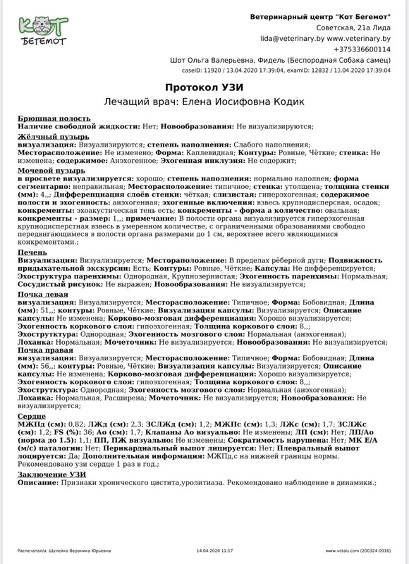 B28A195B-742F-446B-ACBA-FE36CB6DD748