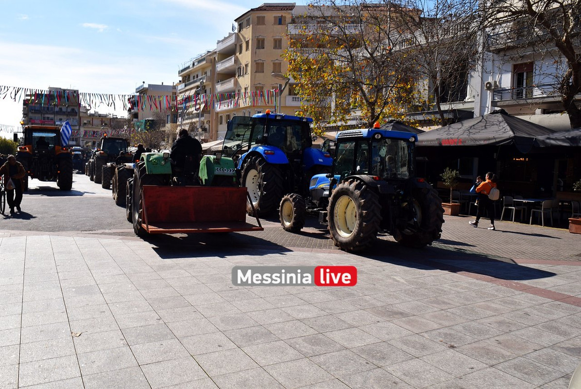 agrotes-DSC-0884