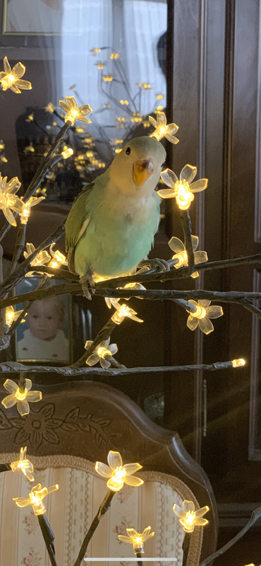 5C55411D-8F56-48DC-A746-38A0070F9E9C