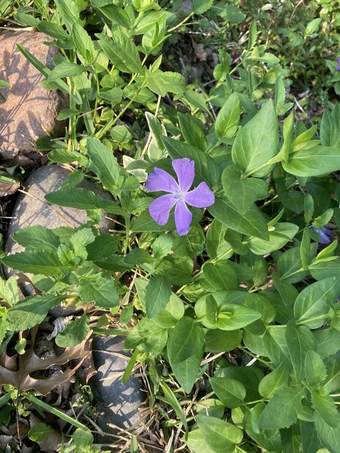 [Image: IMG-3200.jpg]