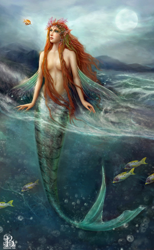 [Hết] Hình ảnh cho truyện cổ Grimm và Anderson  - Page 12 Mermaid-253