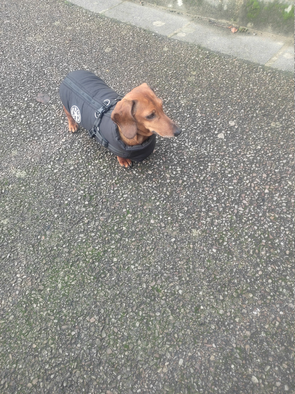 [Image: IMG-20251206-124035.jpg]