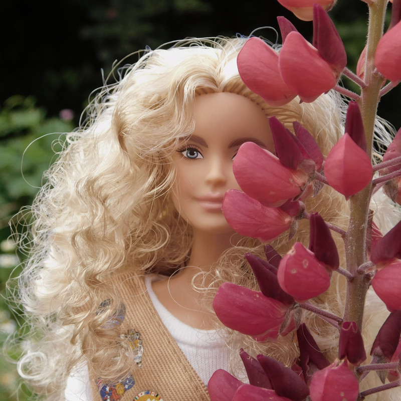 Дачное июль 203 и барби 010