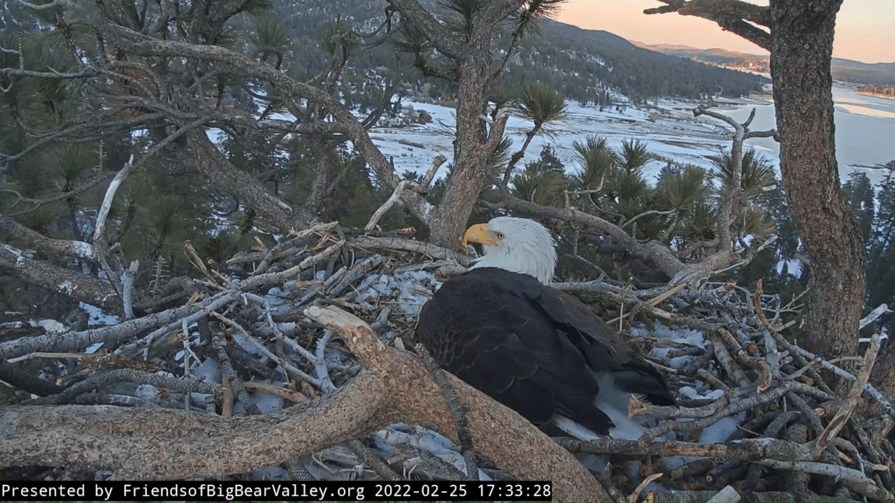 Webp.net-gifmaker (1)