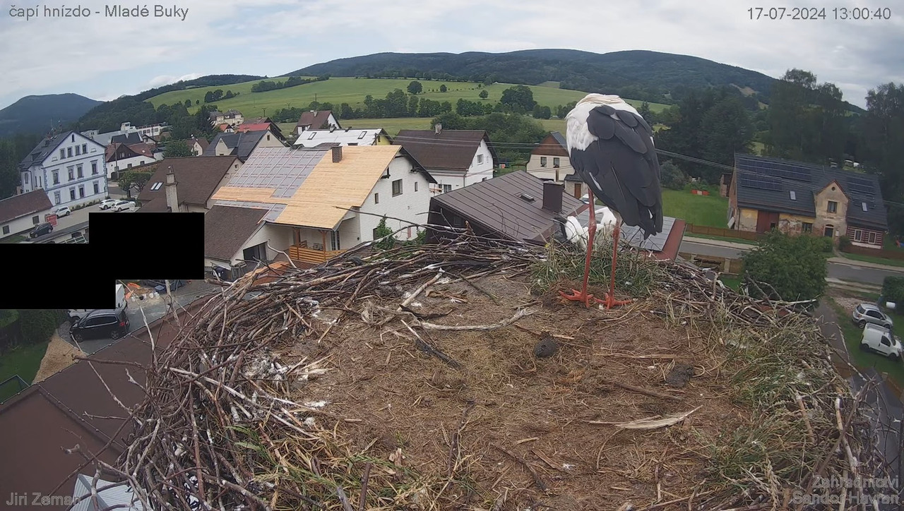 Tiešraides kamera — Mladé Buky — stārķa ligzda 15-32-28 screenshot