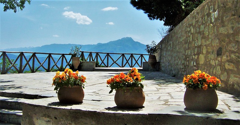 orange-plant-pots.jpg