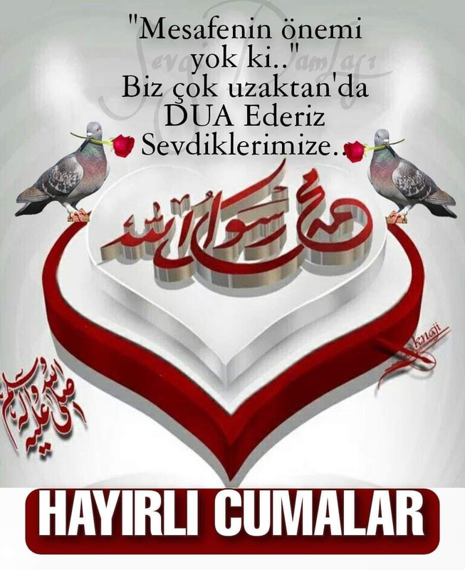 resim