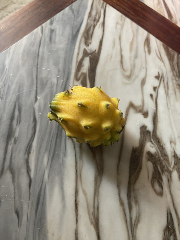 7D53B696-6229-4073-9B93-45134993616C