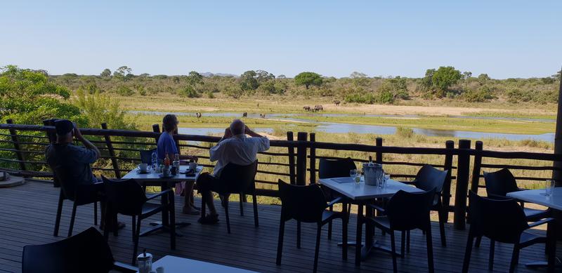 DÍA 9:  KRUGER (Berg-en-Dal – Lower Sabie) - Sudáfrica y Seychelles 2018 -  Una Honeymoon llena de vida (14)