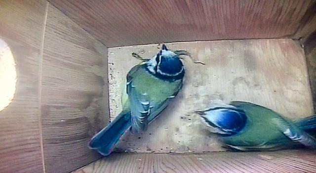 820B06E6-F671-427D-956C-FBA09B417E95