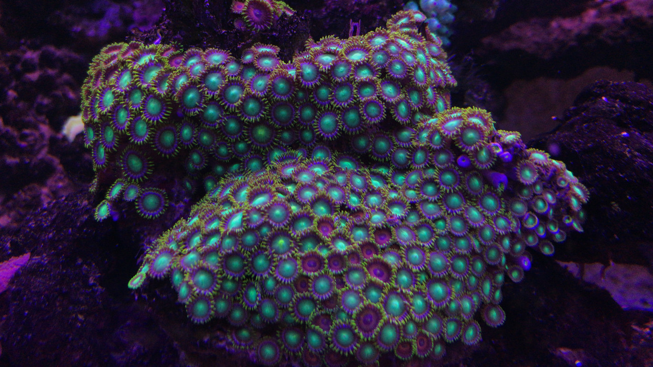 A4293070-B411-4DD2-9EC5-20F8D4DA708F