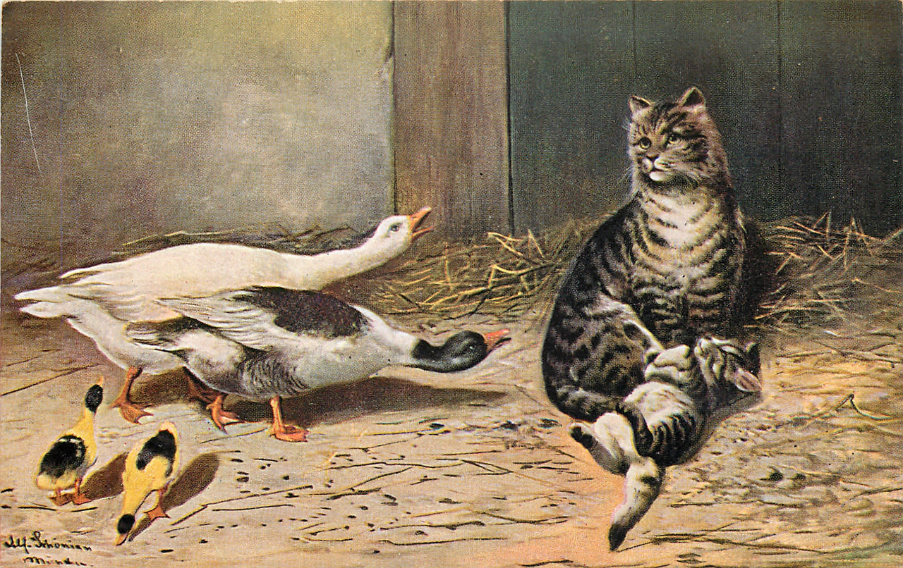 35-2011-11-18-10-11-10