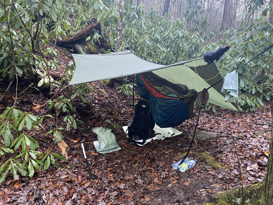 63C9F015-4834-4C80-82BF-14869C61C7F5