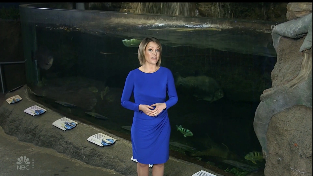11.07 - 15.00.00 - Earth Odyssey With Dylan Dreyer. The world's smart....ts_snapshot_00.14.51.539