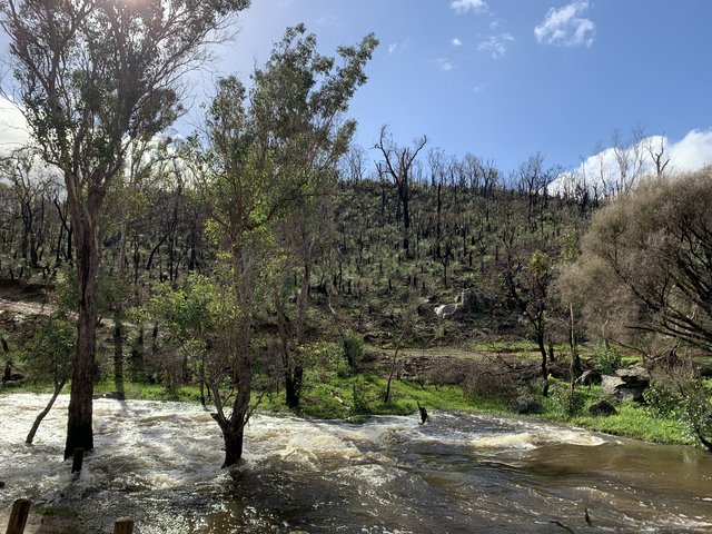 7CACA5BD-4524-4159-A9CB-5BD08964FBB8