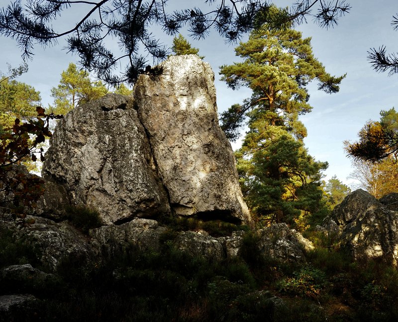 PA290838.jpg