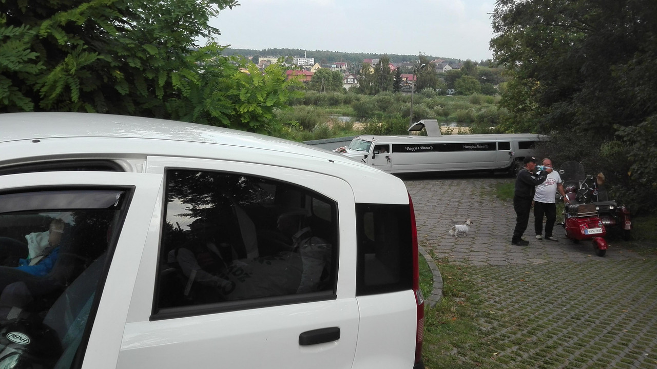 41335349_2302754689741145_940778531393110016_n