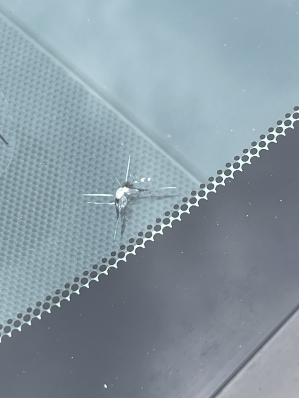 633579C2-A28D-42AB-BD0F-30FAEB0800C2