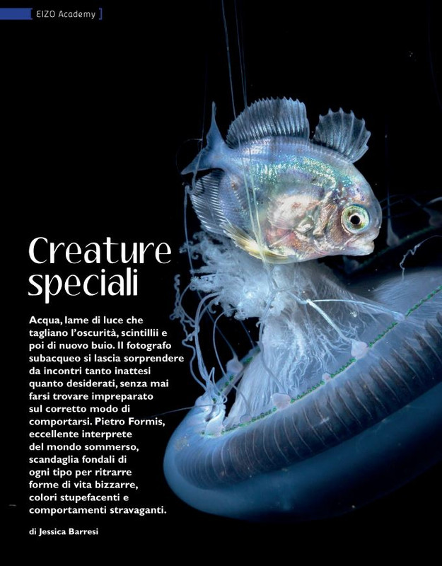 FOTO Cult Ago-Set 2021 (3)