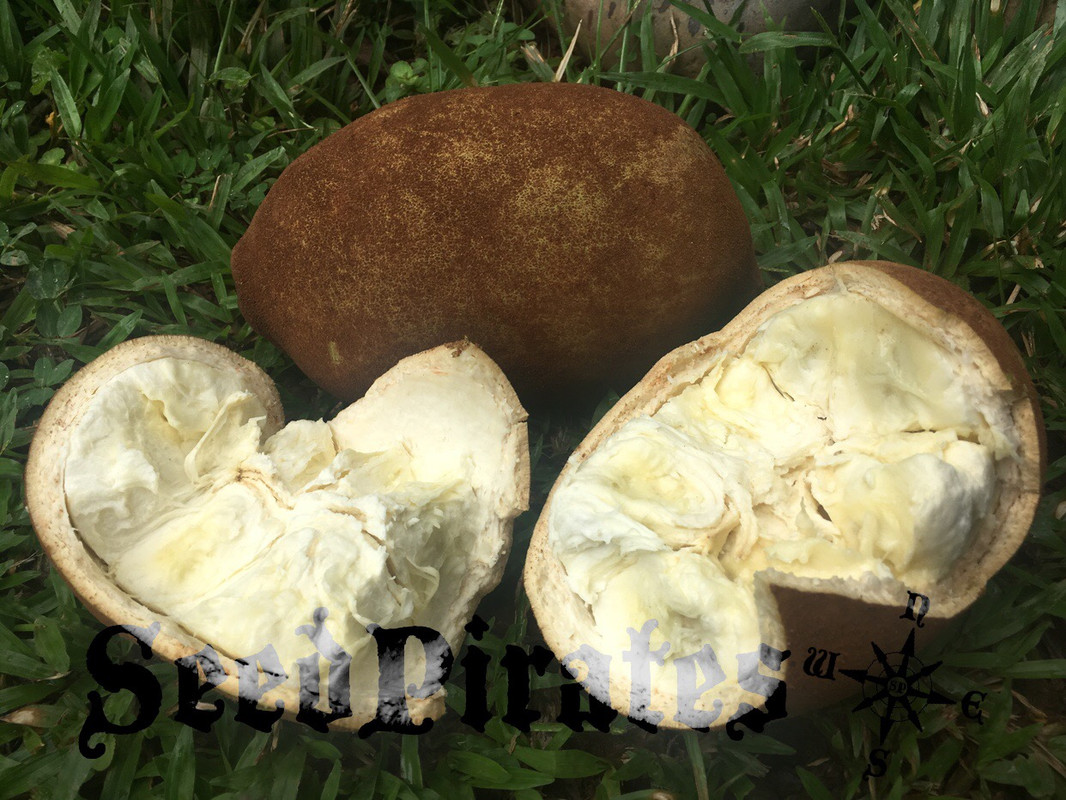 CD3D4663-994F-4A66-918B-D092E65EA998