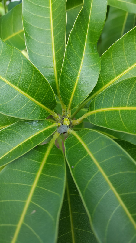 20190119_105201