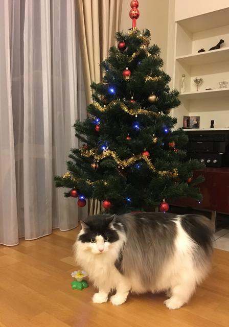 76176-D75-61-A7-4-D74-87-D1-7246-D18-EFF