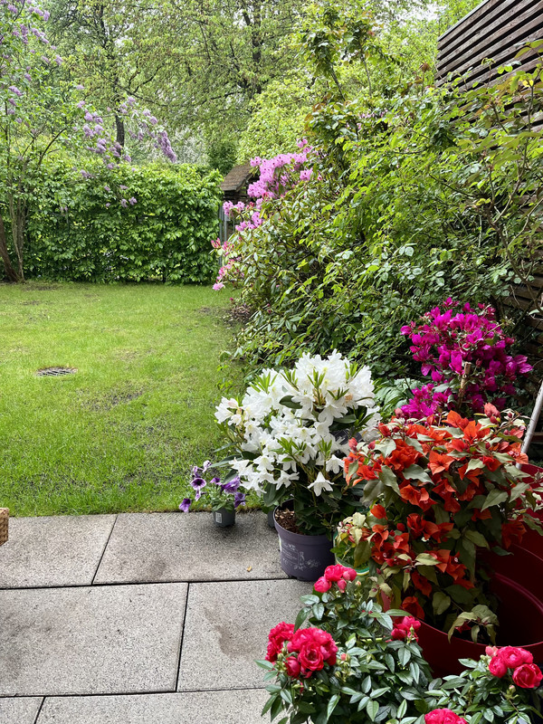 616DC0E1-B037-4343-A694-DC733175A78B