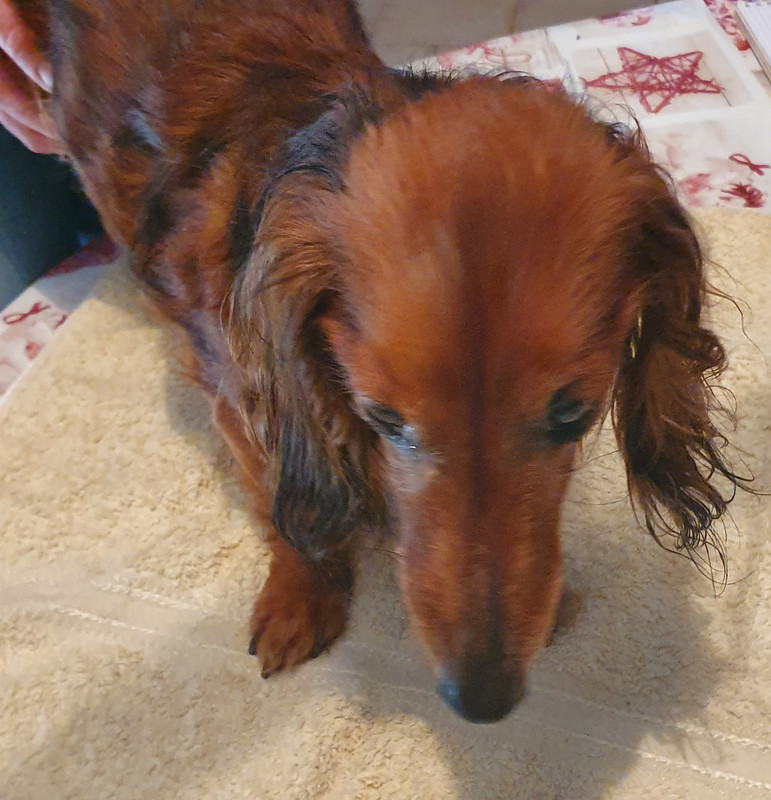 [Image: 20220615-160745.jpg]