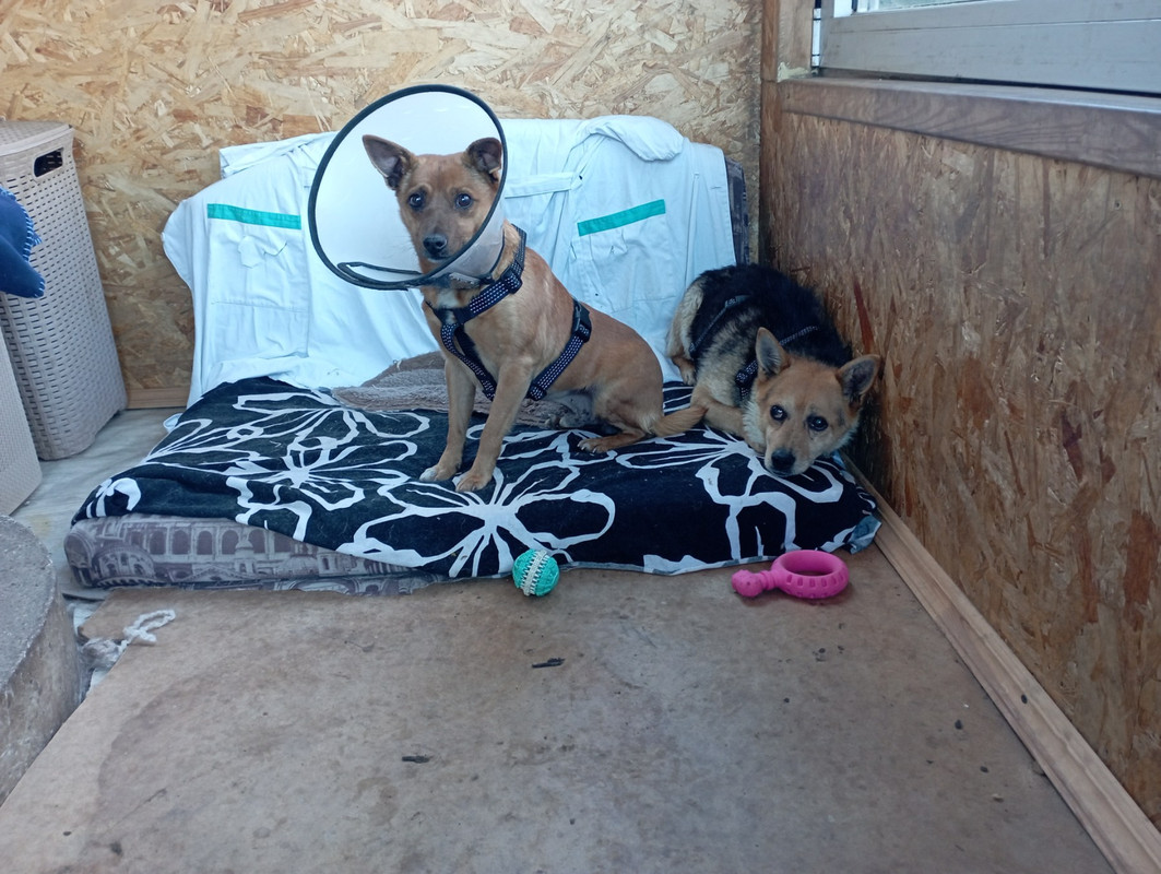 IMG-08c55fdf152b1817b91ab19e98330e3e-V