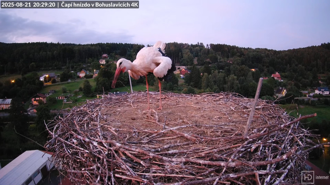 Živě z čapího komína firmy KARA v Bohuslavicích u Trutnova 18-33-30 screenshot