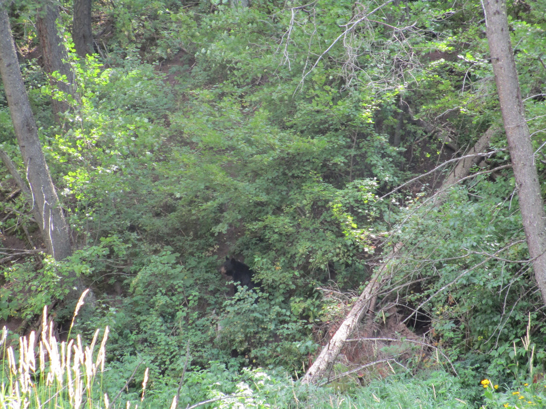 IMG 0070 — Postimages