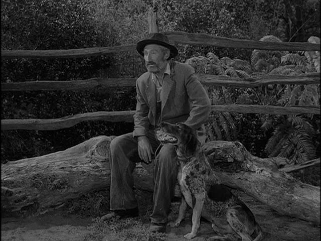 Twilight Zone The Hunt