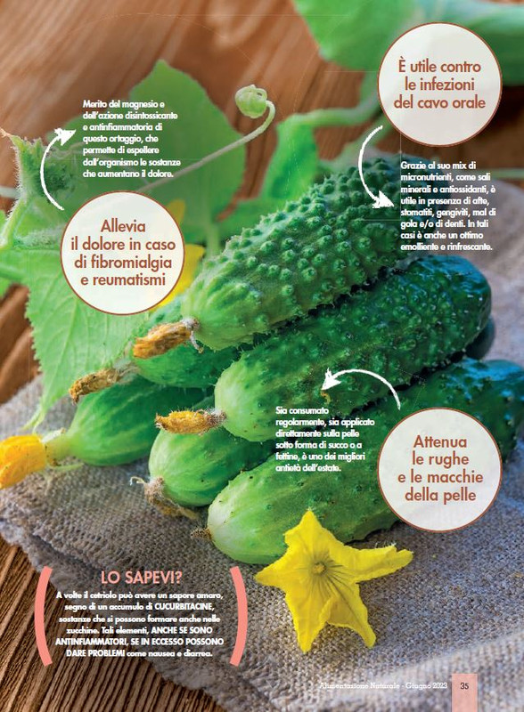 Alim Nat Giu 2023 (8)