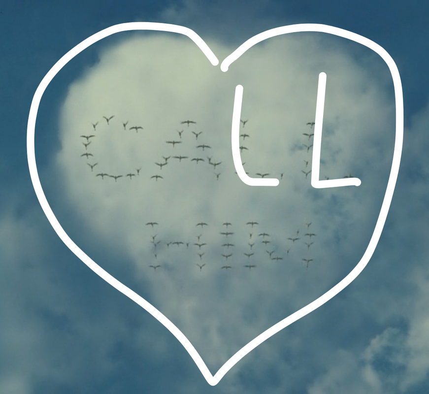https://i.postimg.cc/R04tG9jG/IMG-20240924-121527.png